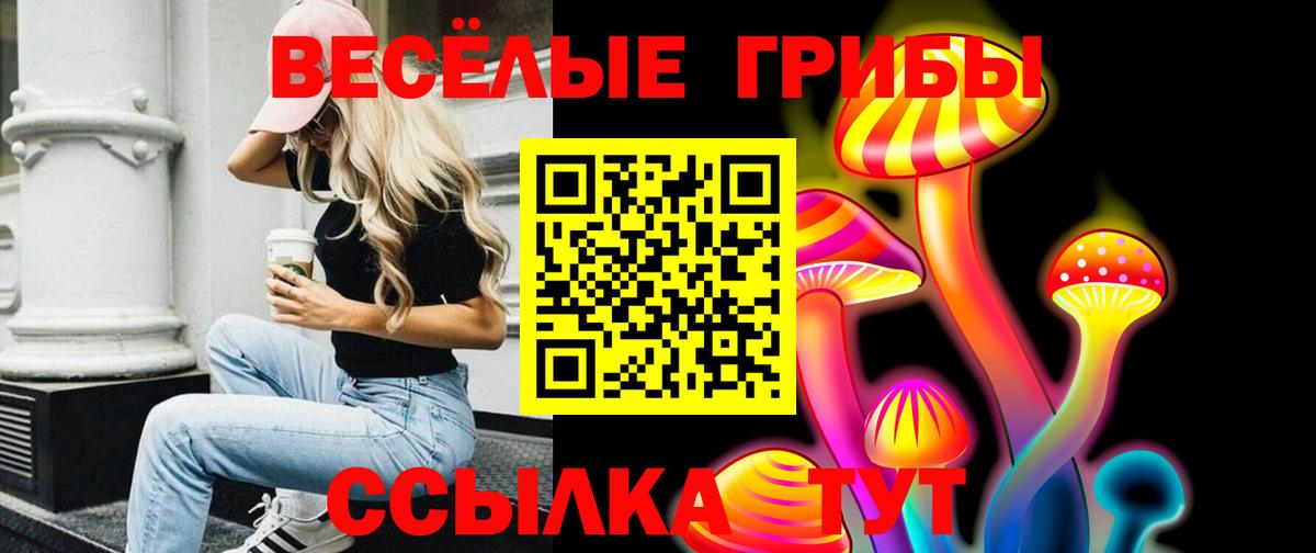 Зеленодольск  Галлюциногенные грибы ЛСД  Вход с VPN 